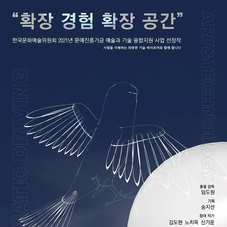 산림동 비둘기